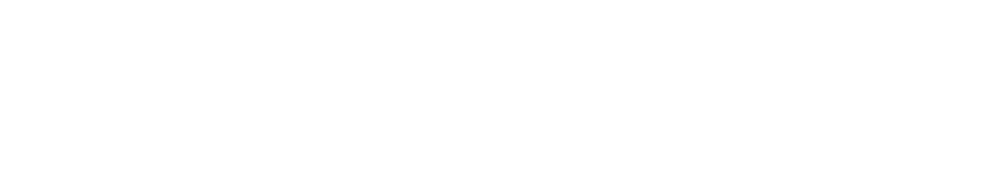 Dr. Buchmann Consulting